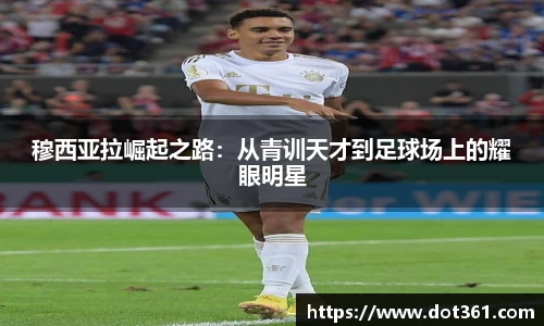 mk体育官方网站